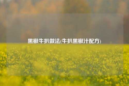 黑椒牛扒做法(牛扒黑椒汁配方)