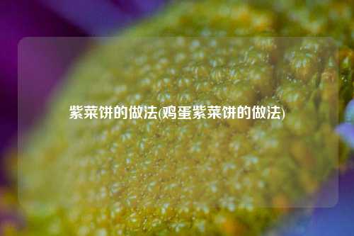 紫菜饼的做法(鸡蛋紫菜饼的做法)