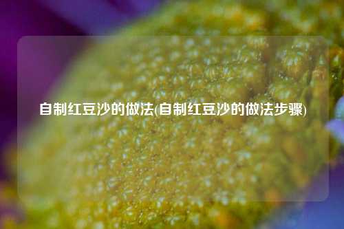 自制红豆沙的做法(自制红豆沙的做法步骤)