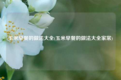 玉米早餐的做法大全(玉米早餐的做法大全家常)