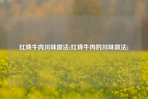 红烧牛肉川味做法(红烧牛肉的川味做法)