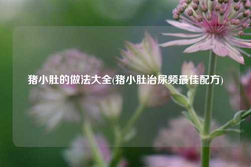 猪小肚的做法大全(猪小肚治尿频最佳配方)