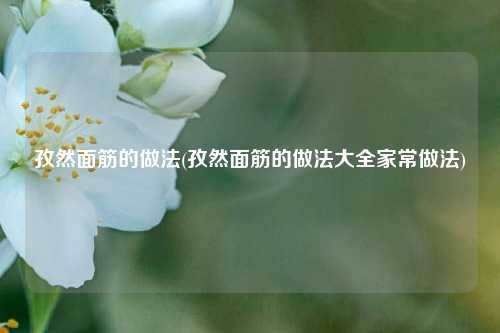 孜然面筋的做法(孜然面筋的做法大全家常做法)