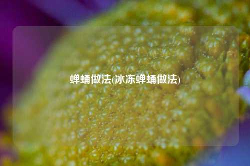 蝉蛹做法(冰冻蝉蛹做法)