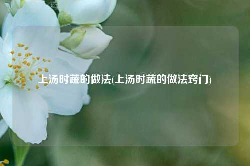 上汤时蔬的做法(上汤时蔬的做法窍门)