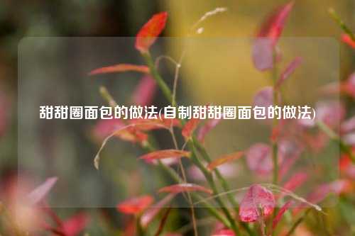 甜甜圈面包的做法(自制甜甜圈面包的做法)