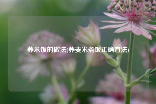 荞米饭的做法(荞麦米煮饭正确方法)