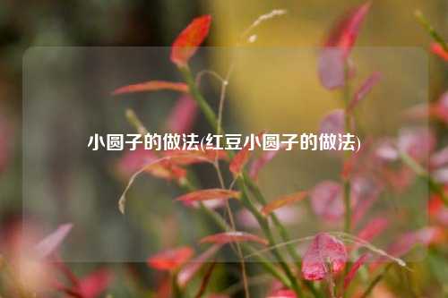 小圆子的做法(红豆小圆子的做法)