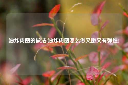 油炸肉圆的做法(油炸肉圆怎么做又嫩又有弹性)