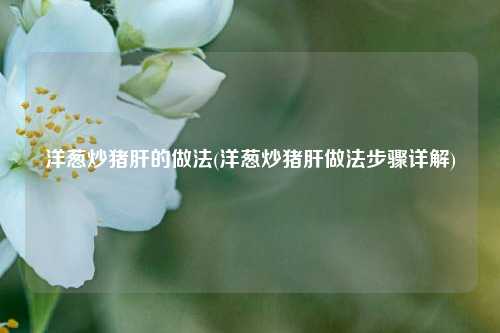 洋葱炒猪肝的做法(洋葱炒猪肝做法步骤详解)