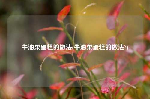 牛油果蛋糕的做法(牛油果蛋糕的做法?)